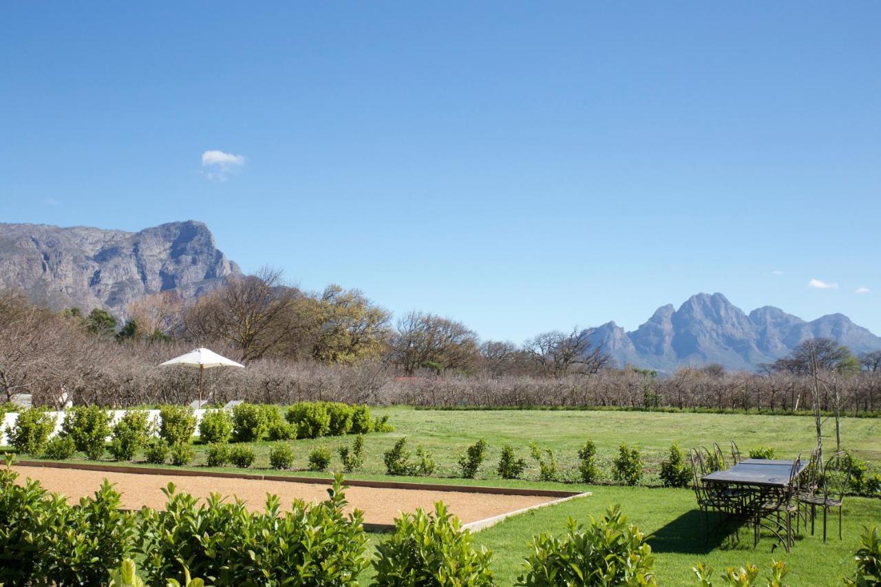 La Chataigne Wines & Guest Cottages Franschhoek Zewnętrze zdjęcie