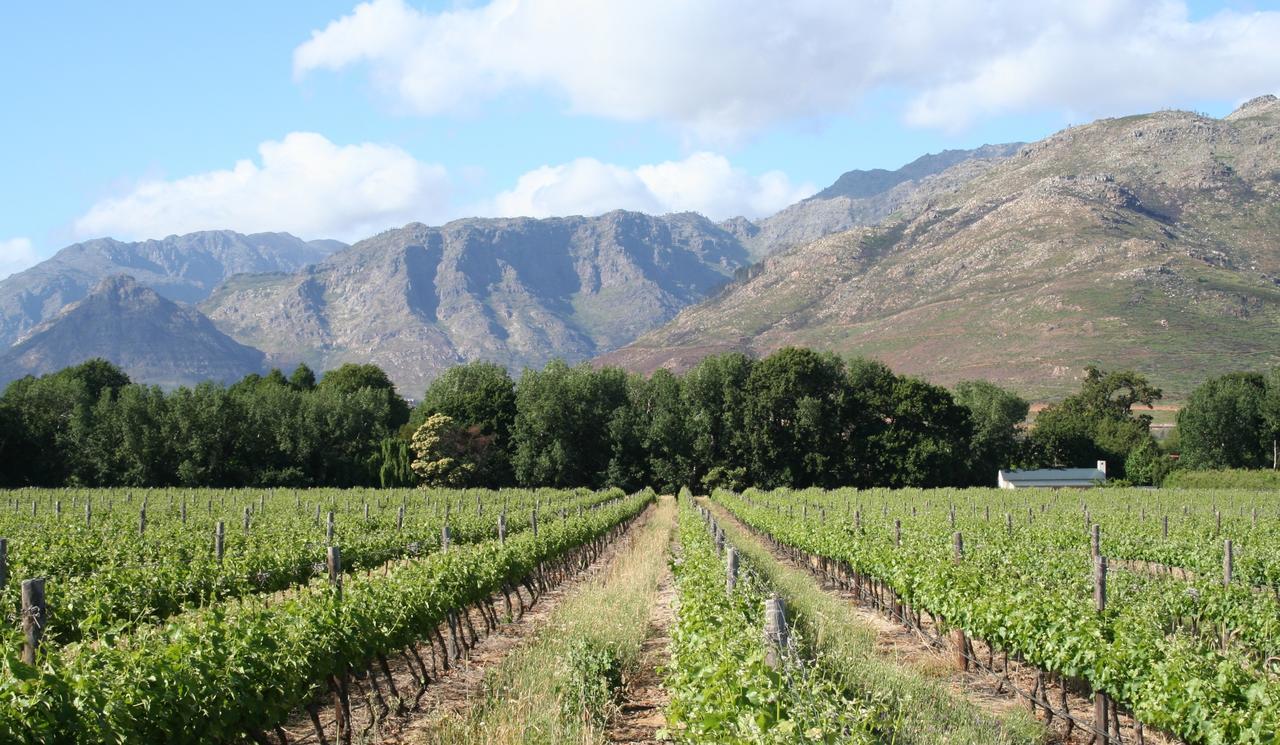 La Chataigne Wines & Guest Cottages Franschhoek Zewnętrze zdjęcie