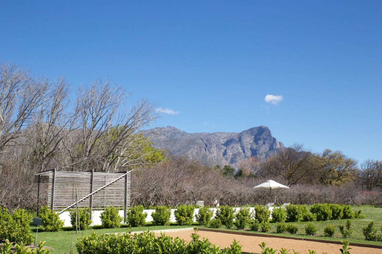 La Chataigne Wines & Guest Cottages Franschhoek Zewnętrze zdjęcie