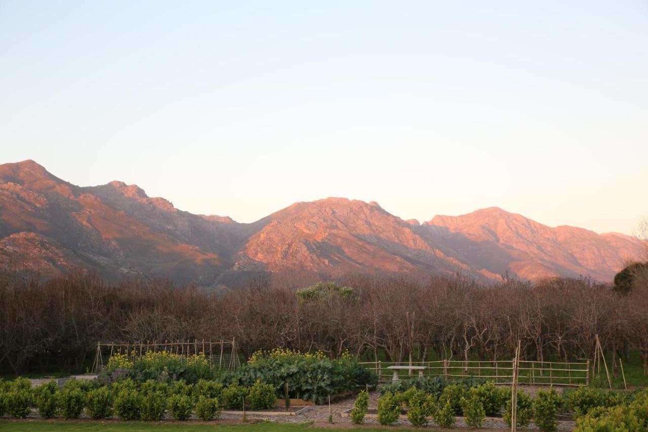 La Chataigne Wines & Guest Cottages Franschhoek Zewnętrze zdjęcie