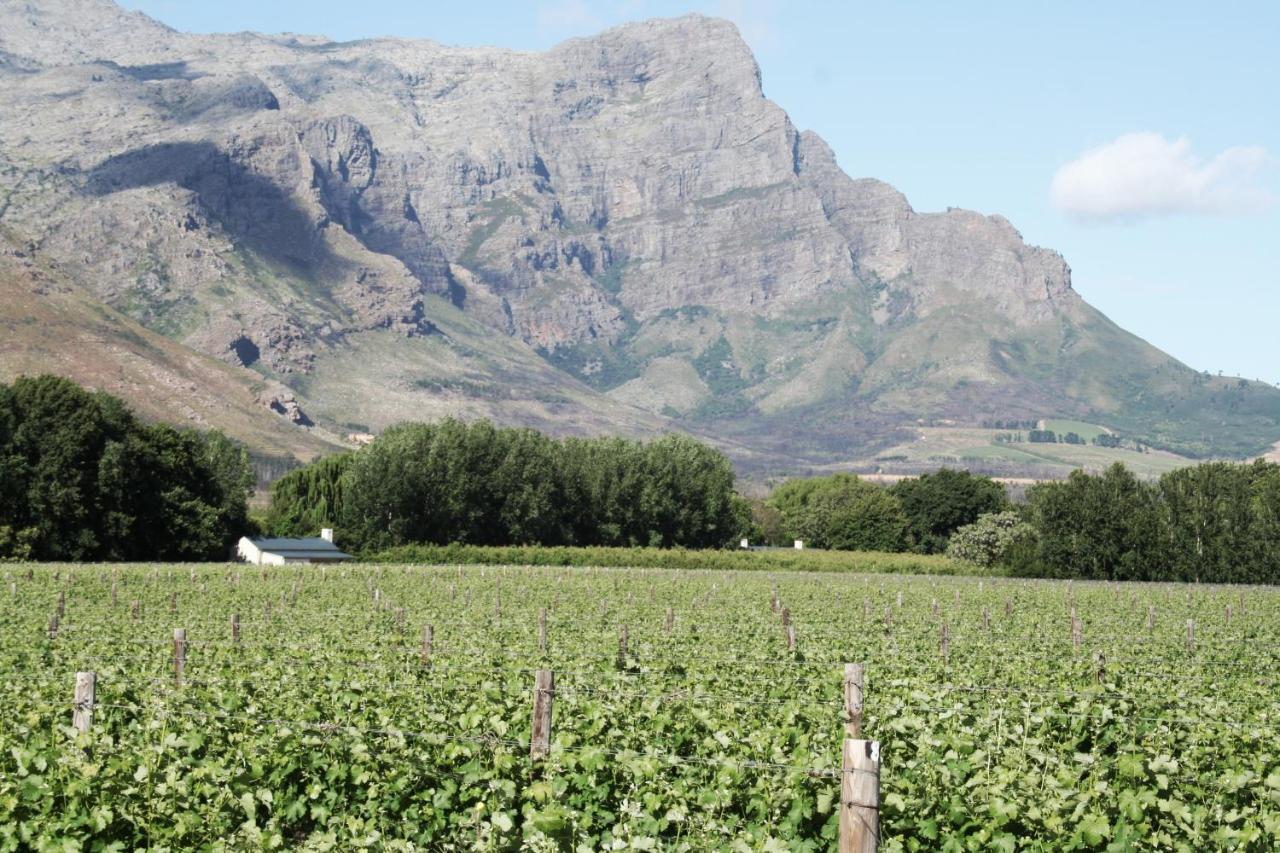 La Chataigne Wines & Guest Cottages Franschhoek Zewnętrze zdjęcie