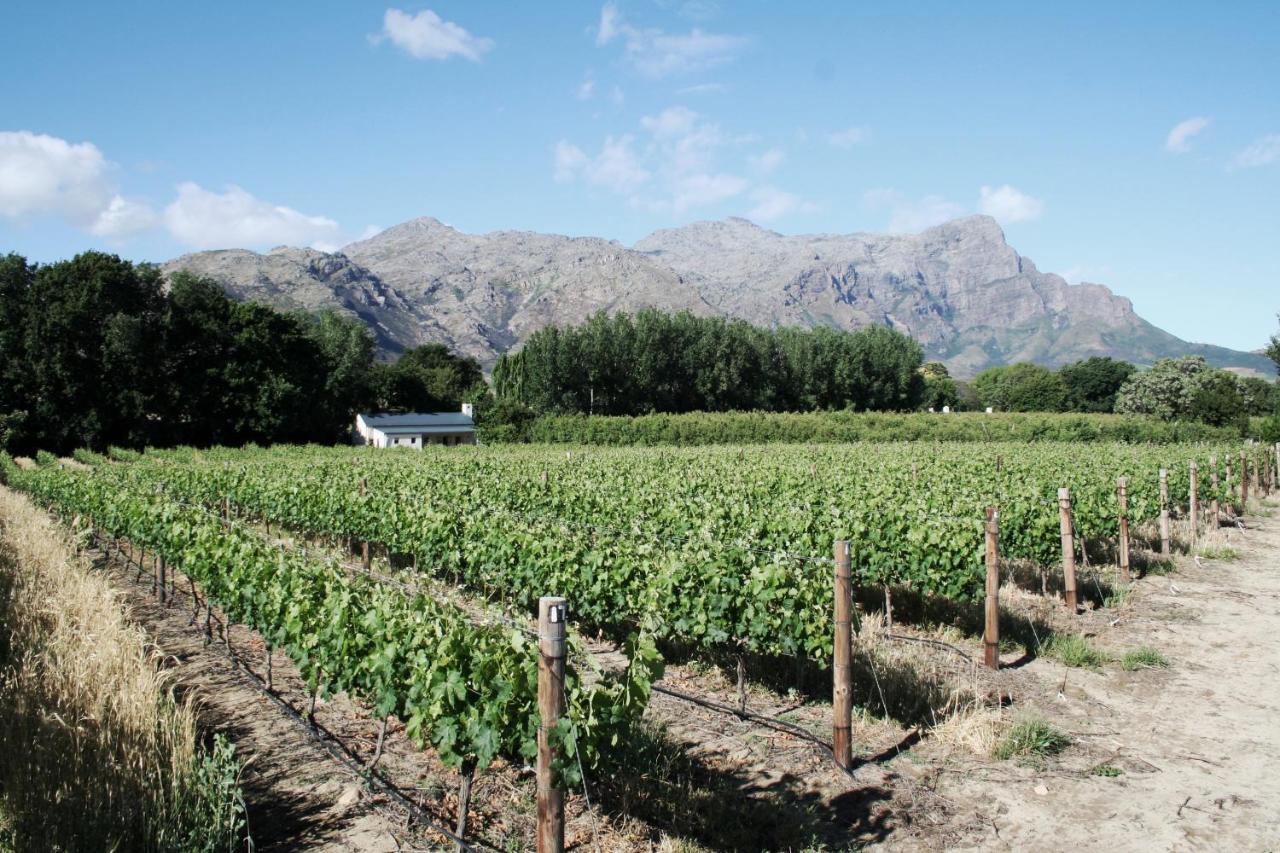 La Chataigne Wines & Guest Cottages Franschhoek Zewnętrze zdjęcie